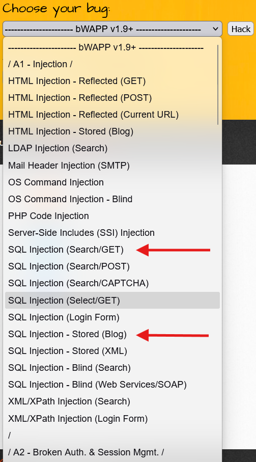 SQL Injection Search/GET Interface